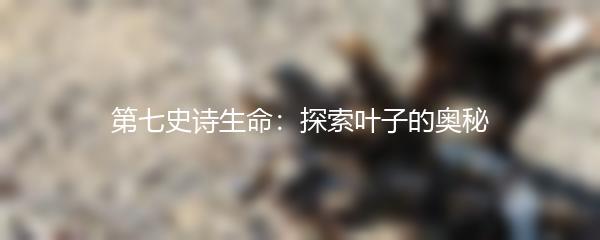 第七史诗生命：探索叶子的奥秘