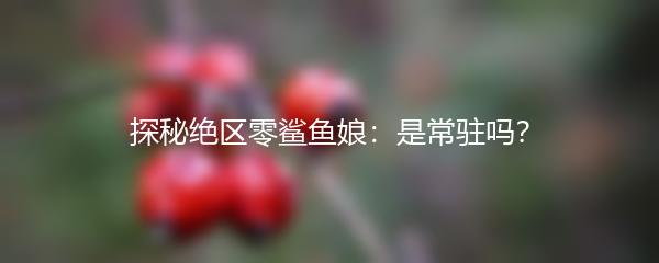 探秘绝区零鲨鱼娘：是常驻吗？