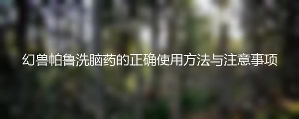 幻兽帕鲁洗脑药的正确使用方法与注意事项