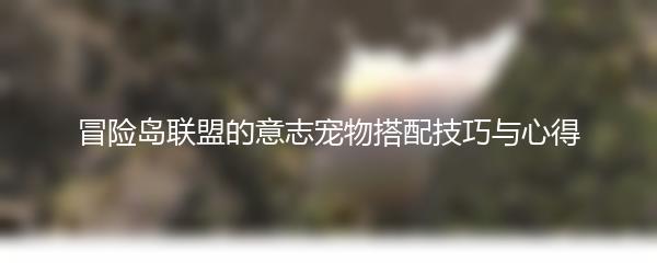 冒险岛联盟的意志宠物搭配技巧与心得