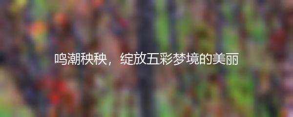 鸣潮秧秧，绽放五彩梦境的美丽