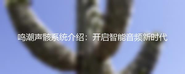 鸣潮声骸系统介绍：开启智能音频新时代