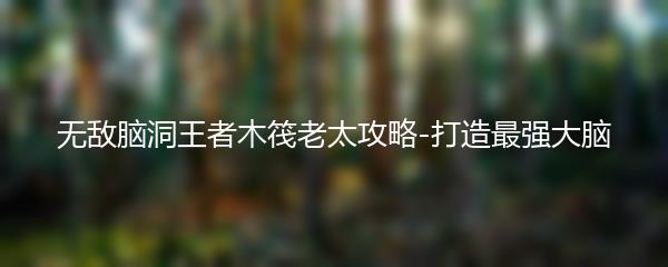 无敌脑洞王者木筏老太攻略-打造最强大脑