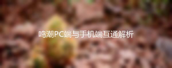 鸣潮PC端与手机端互通解析