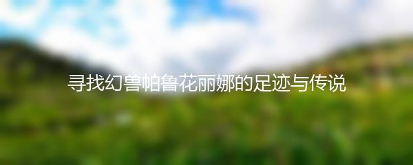 寻找幻兽帕鲁花丽娜的足迹与传说