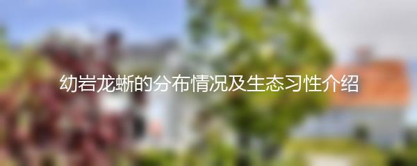 幼岩龙蜥的分布情况及生态习性介绍
