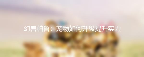 幻兽帕鲁：宠物如何升级提升实力