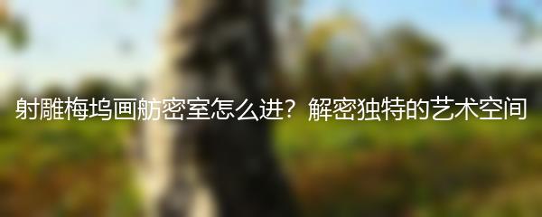 射雕梅坞画舫密室怎么进？解密独特的艺术空间