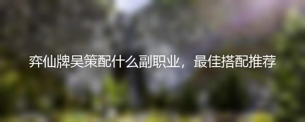 弈仙牌吴策配什么副职业，最佳搭配推荐