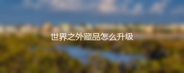 世界之外藏品怎么升级
