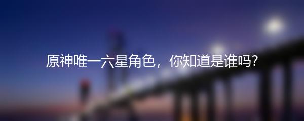 原神唯一六星角色，你知道是谁吗？