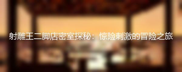 射雕王二脚店密室探秘：惊险刺激的冒险之旅