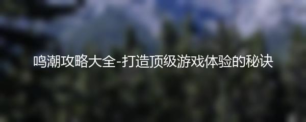 鸣潮攻略大全-打造顶级游戏体验的秘诀