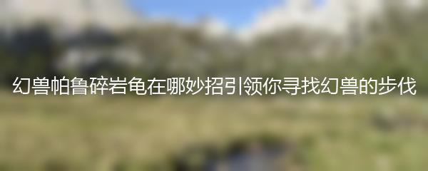 幻兽帕鲁碎岩龟在哪妙招引领你寻找幻兽的步伐