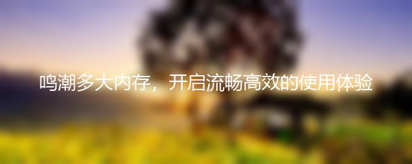 鸣潮多大内存，开启流畅高效的使用体验