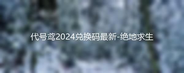 代号鸢2024兑换码最新-绝地求生