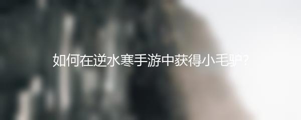 如何在逆水寒手游中获得小毛驴？
