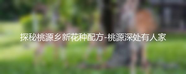 探秘桃源乡新花种配方-桃源深处有人家