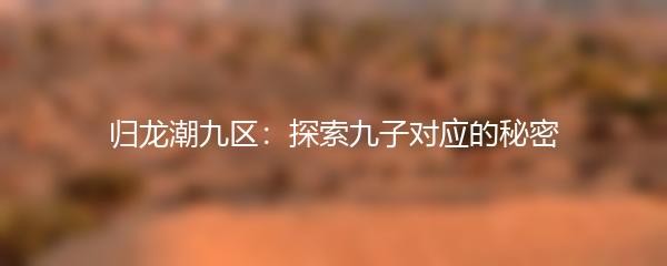 归龙潮九区：探索九子对应的秘密