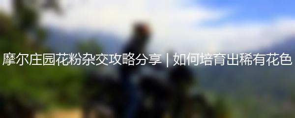 摩尔庄园花粉杂交攻略分享 | 如何培育出稀有花色