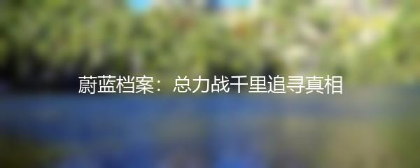蔚蓝档案：总力战千里追寻真相