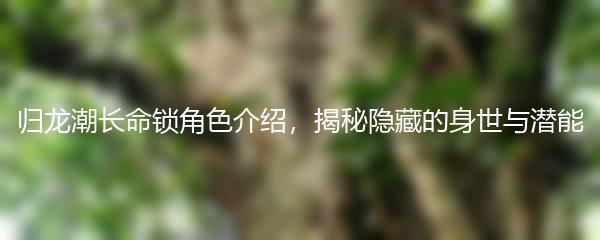 归龙潮长命锁角色介绍，揭秘隐藏的身世与潜能