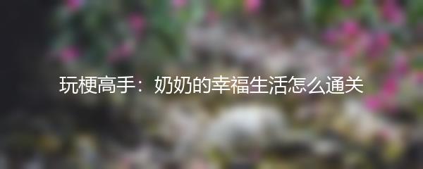 玩梗高手：奶奶的幸福生活怎么通关