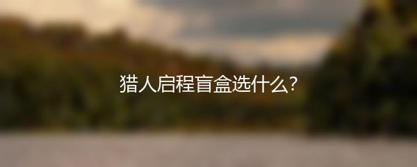 猎人启程盲盒选什么？