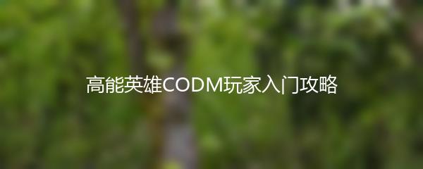 高能英雄CODM玩家入门攻略