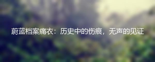 蔚蓝档案痛衣：历史中的伤痕，无声的见证