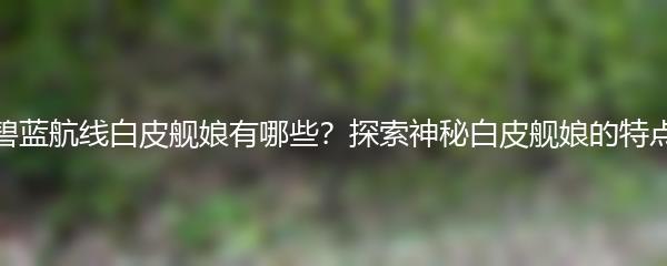 碧蓝航线白皮舰娘有哪些？探索神秘白皮舰娘的特点