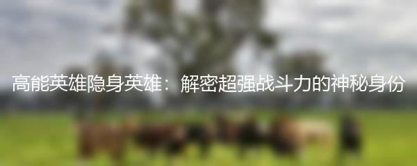 高能英雄隐身英雄：解密超强战斗力的神秘身份