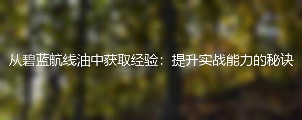 从碧蓝航线油中获取经验：提升实战能力的秘诀