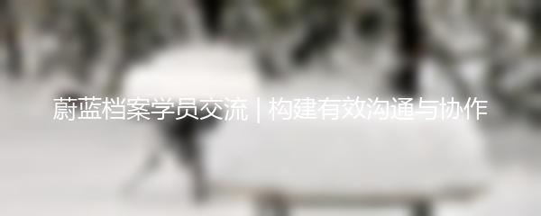 蔚蓝档案学员交流 | 构建有效沟通与协作