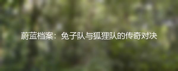 蔚蓝档案：兔子队与狐狸队的传奇对决