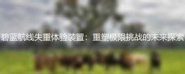 碧蓝航线失重体验装置：重塑极限挑战的未来探索