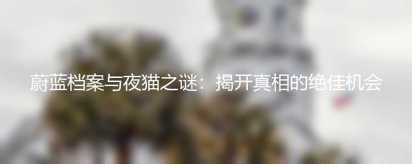 蔚蓝档案与夜猫之谜：揭开真相的绝佳机会