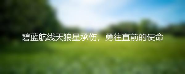 碧蓝航线天狼星承伤，勇往直前的使命