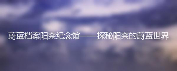 蔚蓝档案阳奈纪念馆——探秘阳奈的蔚蓝世界