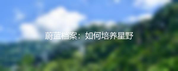 蔚蓝档案：如何培养星野