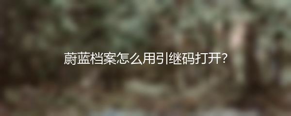 蔚蓝档案怎么用引继码打开？