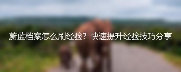 蔚蓝档案怎么刷经验？快速提升经验技巧分享