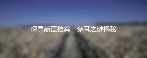 探寻蔚蓝档案：兔耳之谜揭秘