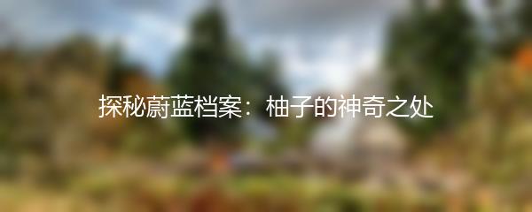 探秘蔚蓝档案：柚子的神奇之处