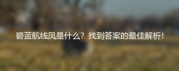 碧蓝航线凤是什么？找到答案的最佳解析！