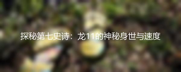 探秘第七史诗：龙11的神秘身世与速度