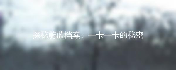 探秘蔚蓝档案：一卡一卡的秘密
