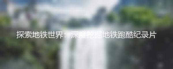 探索地铁世界：深度挖掘地铁跑酷纪录片