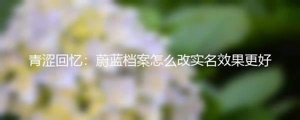 青涩回忆：蔚蓝档案怎么改实名效果更好