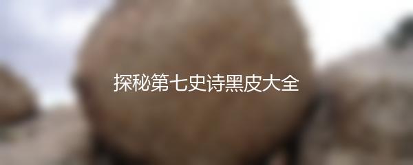 探秘第七史诗黑皮大全